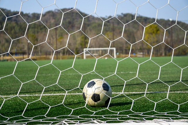 的执教生涯 的执教生涯